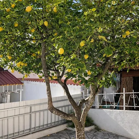 בית אירוח Private Room In Corroios 15 Minutes From The Beach - Quarto Privado Em Corroios Com Facil Acesso A Praia E Lisboa *