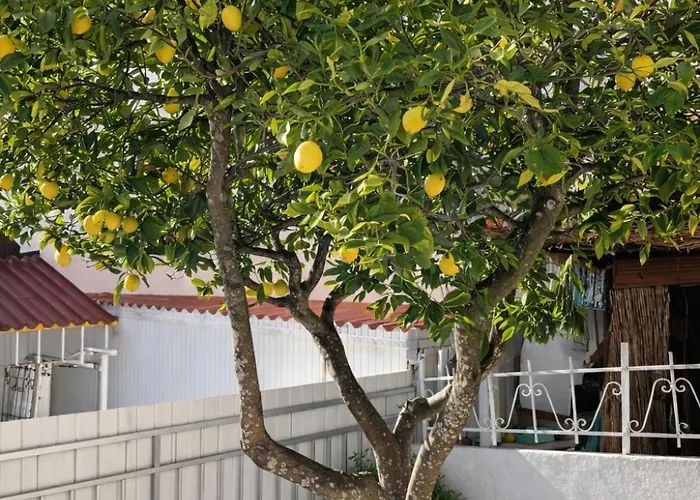 Проживание в семье Private Room In Corroios 15 Minutes From The Beach - Quarto Privado Em Corroios Com Facil Acesso A Praia E Lisboa *